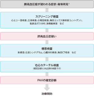検査の流れ