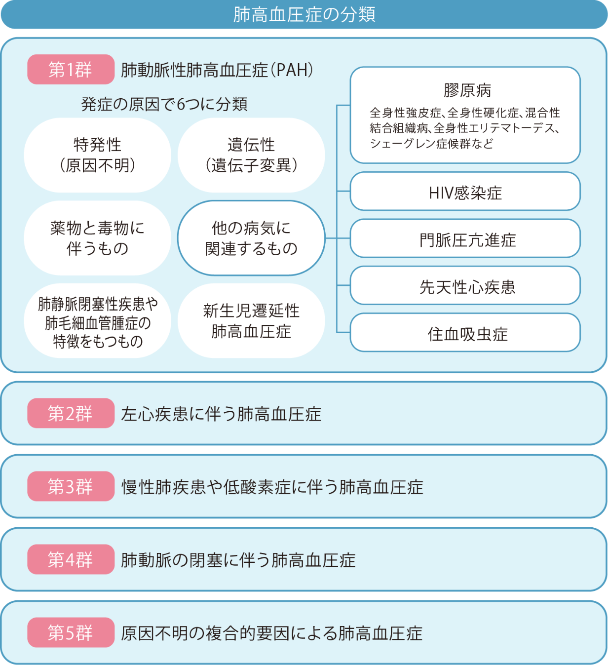 肺高血圧症の分類