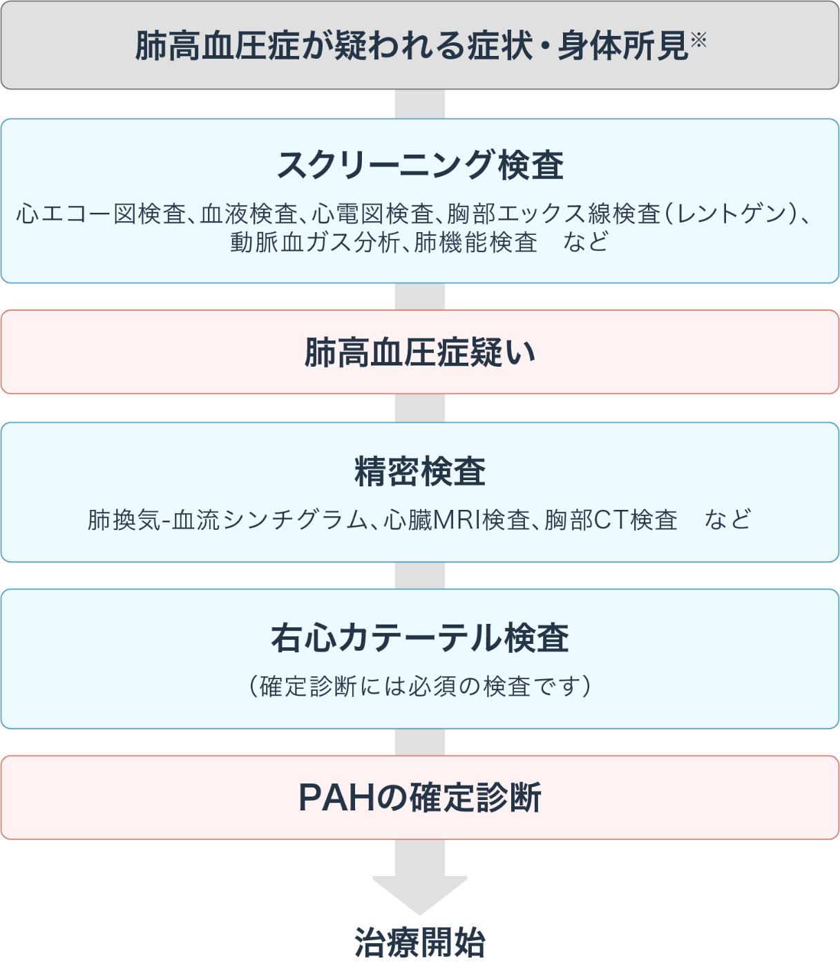検査の流れ