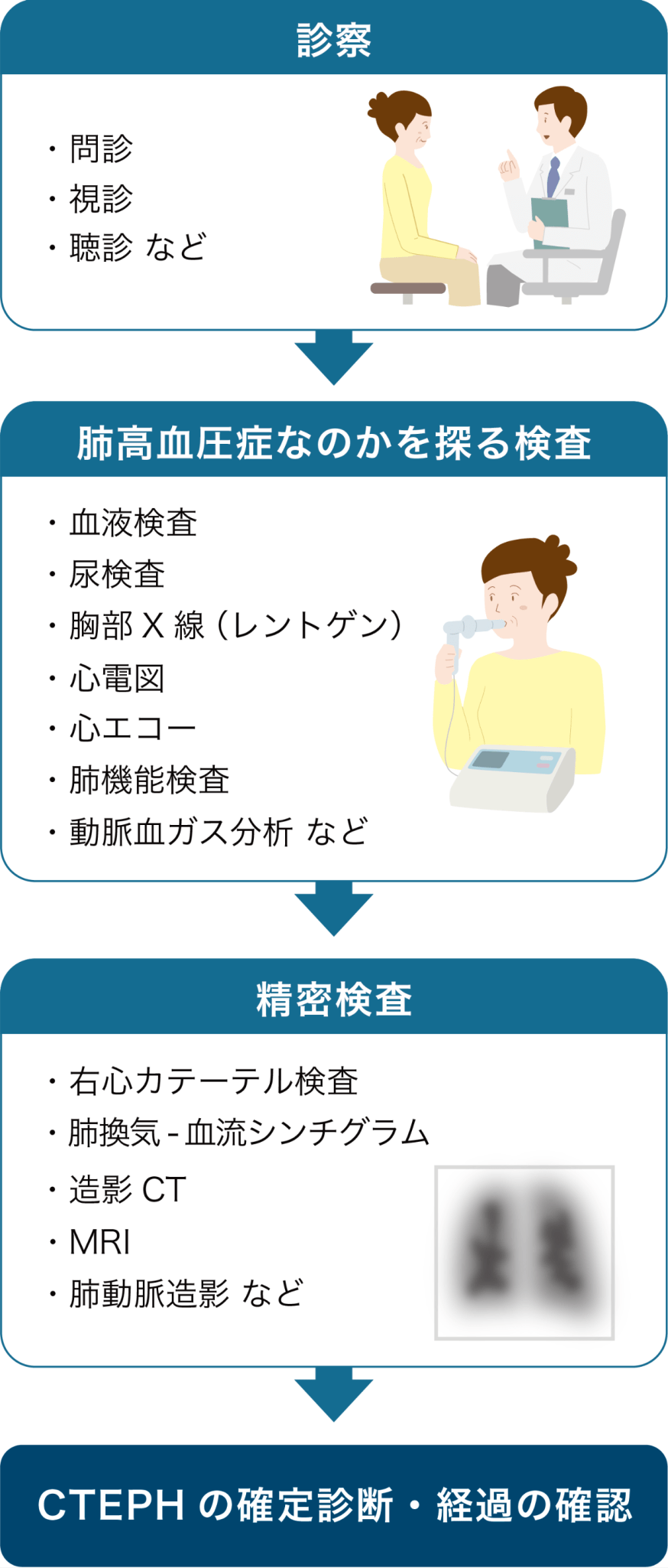 検査の流れ