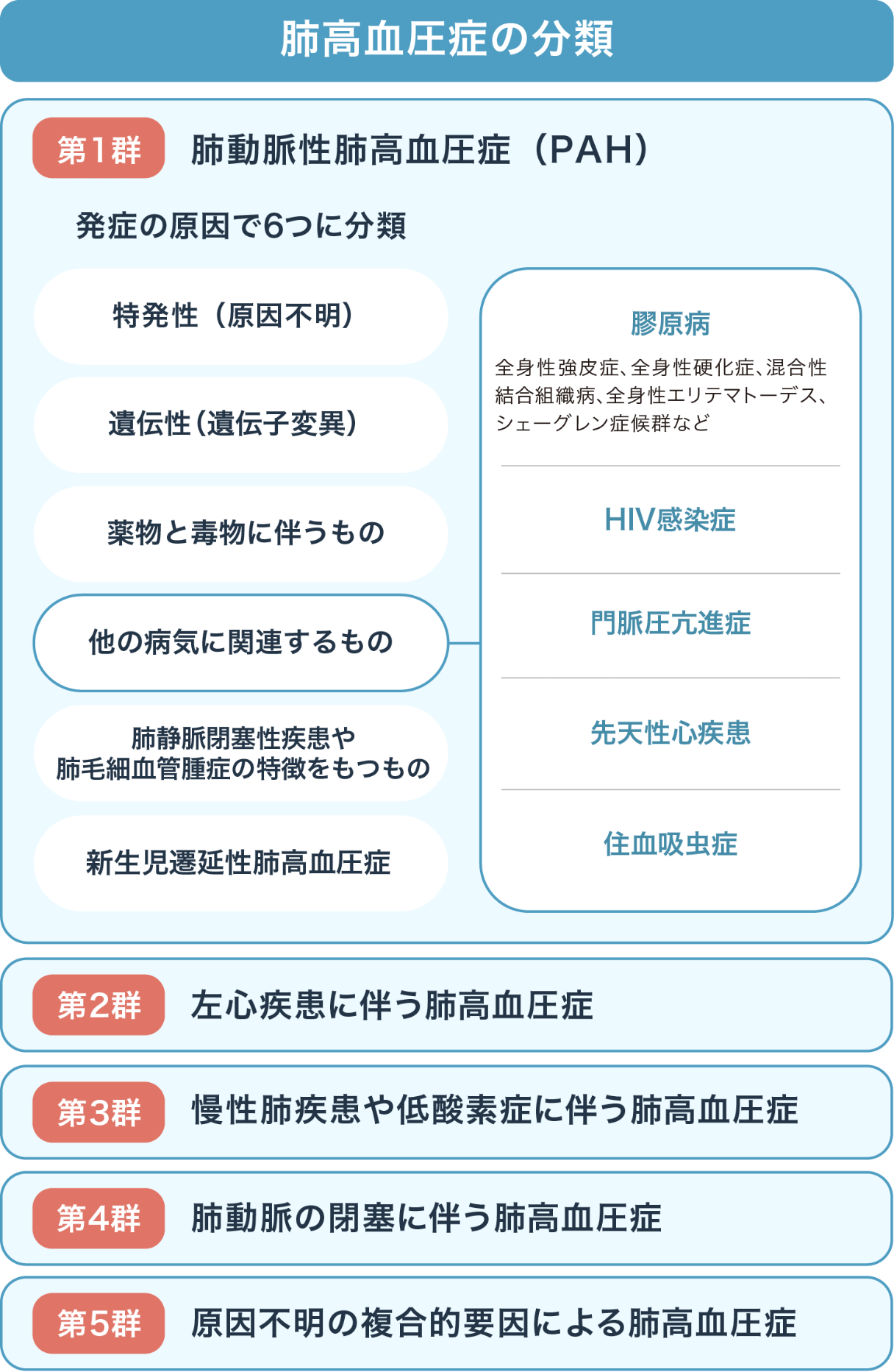 肺高血圧症の分類